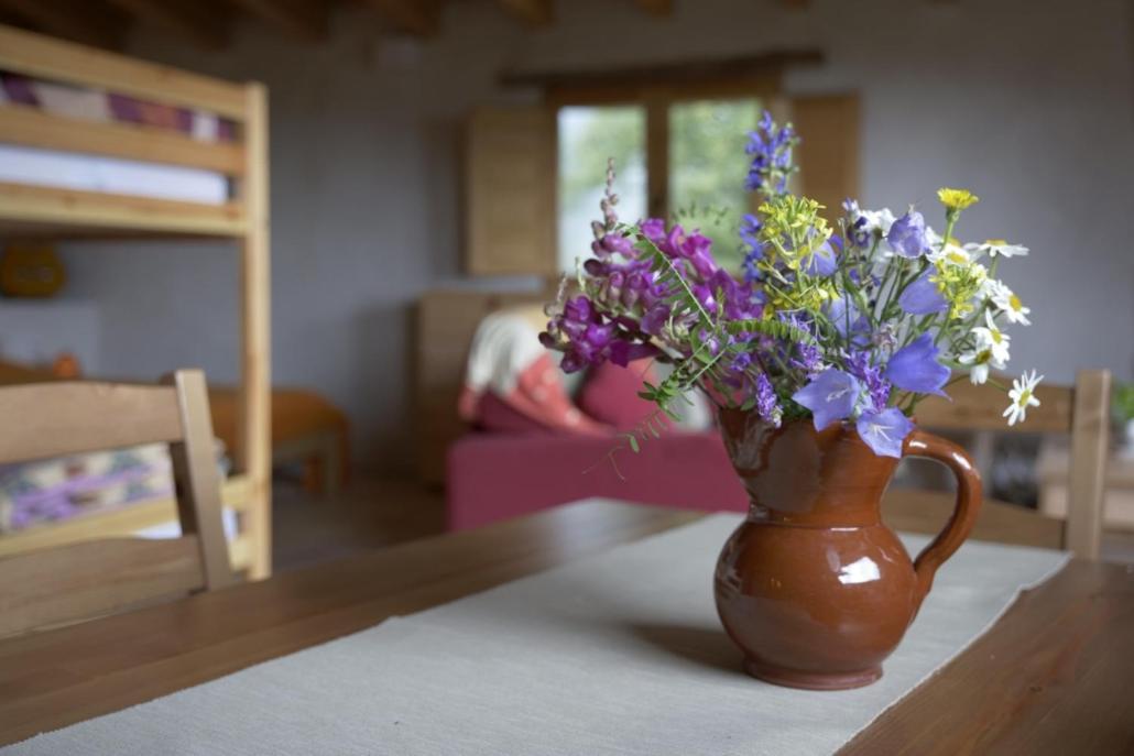 Mas Rural El Negre Hostel Ogassa Екстериор снимка