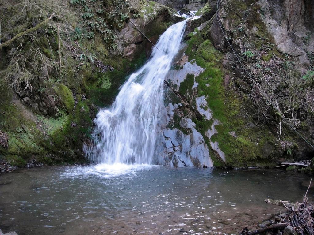 Mas Rural El Negre Hostel Ogassa Екстериор снимка